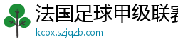 法国足球甲级联赛